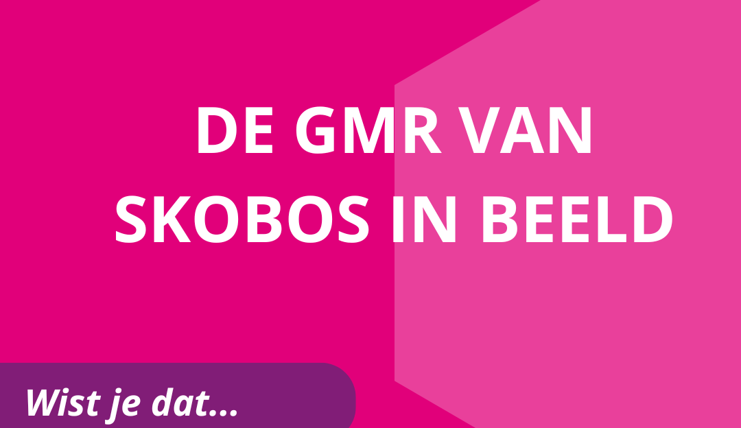 De GMR in beeld